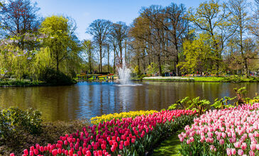 Antalya'dan Amsterdam Turu