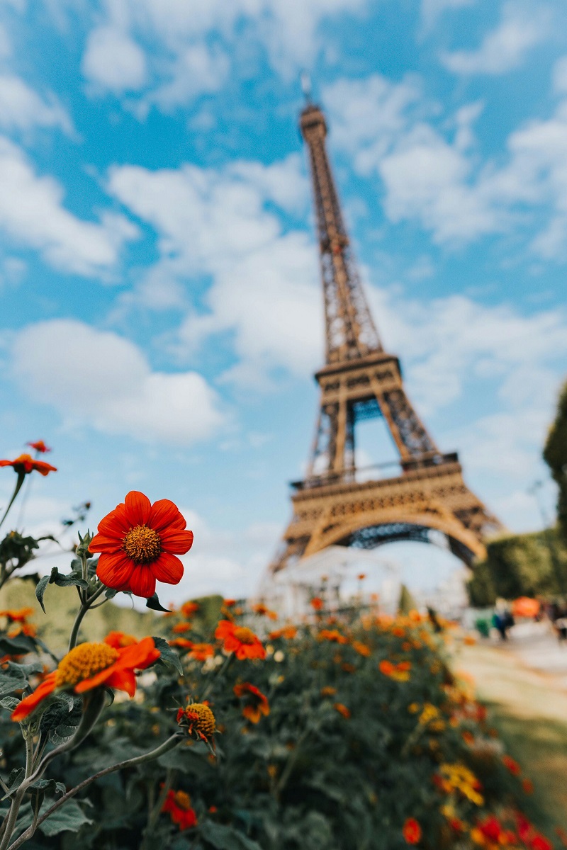 İzmir'den Paris Turu 