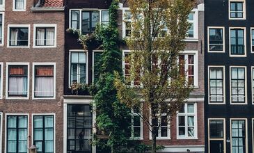 Ankara'dan Amsterdam Turu