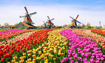 İstanbul'dan Amsterdam Turu 
